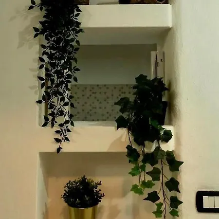 Newnova Flat Apartment Cagliari