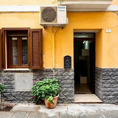 Newnova Flat Apartment